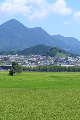 宇陀市空き家バンクについて